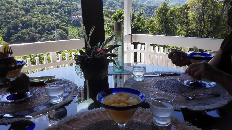 Neita's Nest - Jamaican Bed & Breakfast image