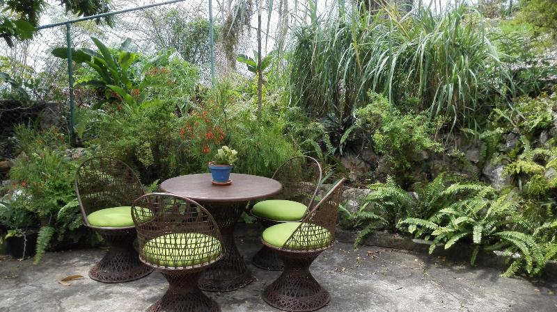 Neita's Nest - Jamaican Bed & Breakfast image