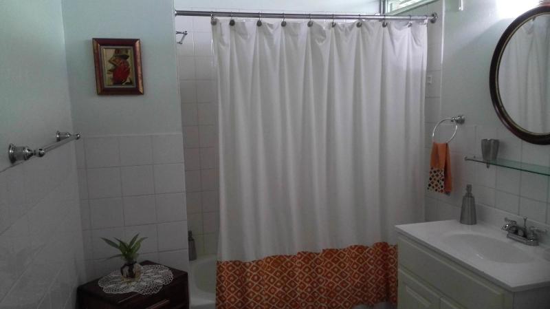 Neita's Nest - Jamaican Bed & Breakfast image