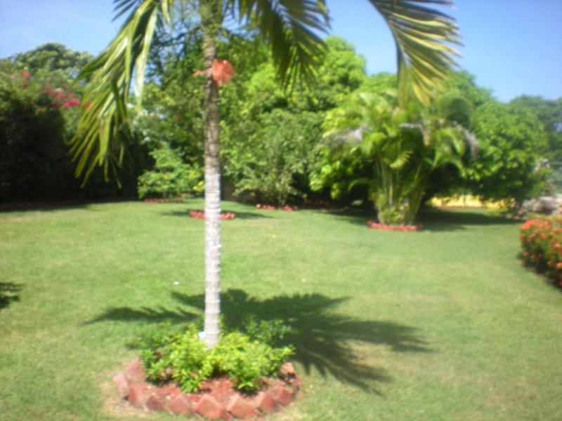 Villa Sonate image