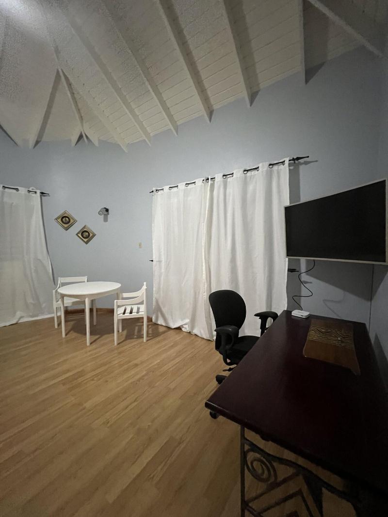 Studio Chateau - Manor Park, Kingston 8 image