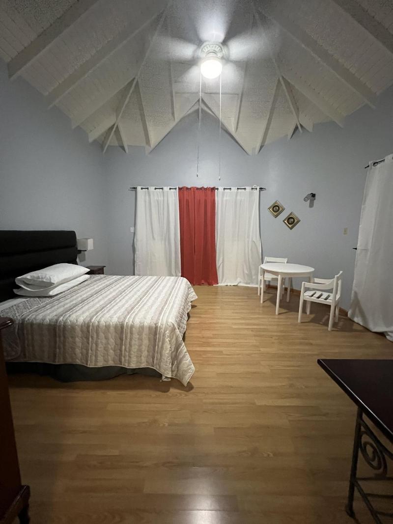 Studio Chateau - Manor Park, Kingston 8 image