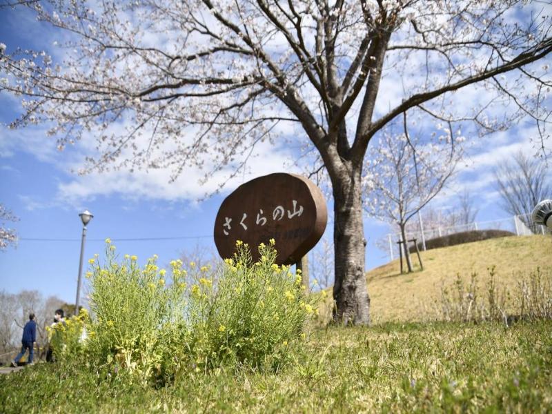 Karin Doo Hotel image