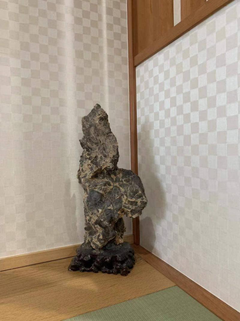 Karin Doo Hotel image