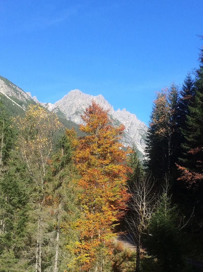 Pension Alpenperle image