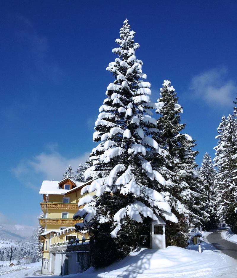 Boutique-Hotel LiebesNesterl Bergwirt image