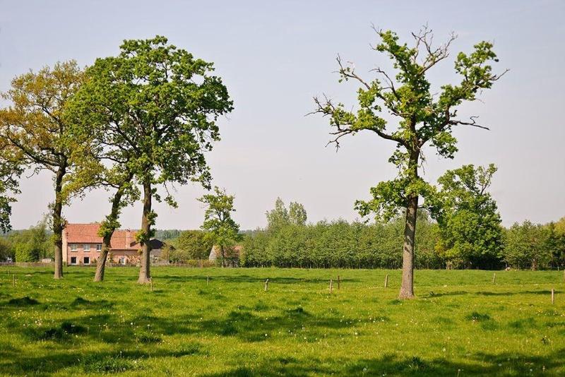 B&B Het Weiland image