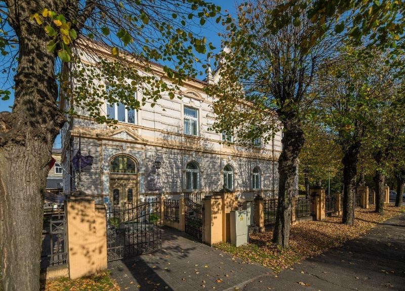 Hotel Villa Roze image