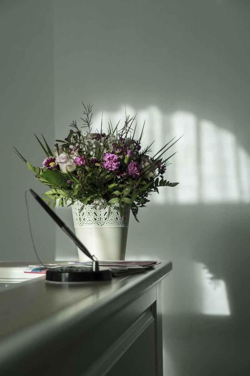Hotel Villa Roze image