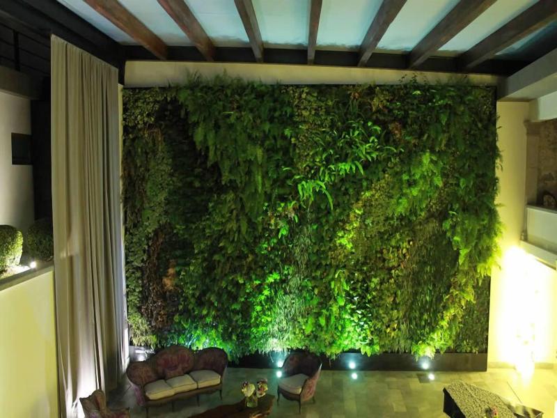 Hotel Casa Mixtli