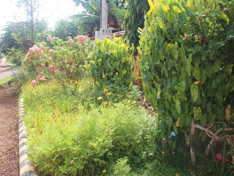 Ramchang Guesthouse image