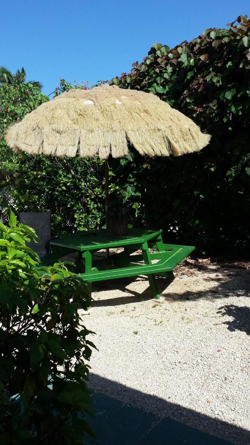 Eldemire's Tropical Island Inn — photo 4