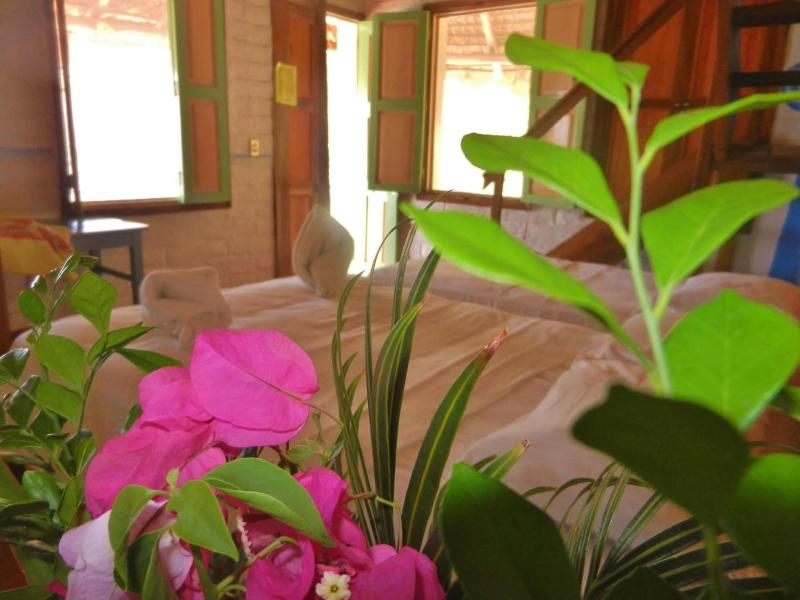 Altamira Mazunte image