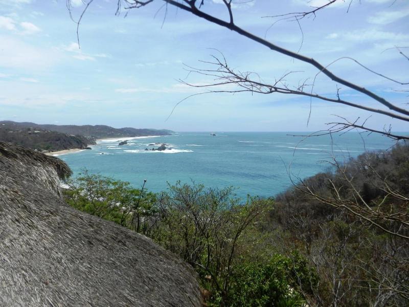 Altamira Mazunte image