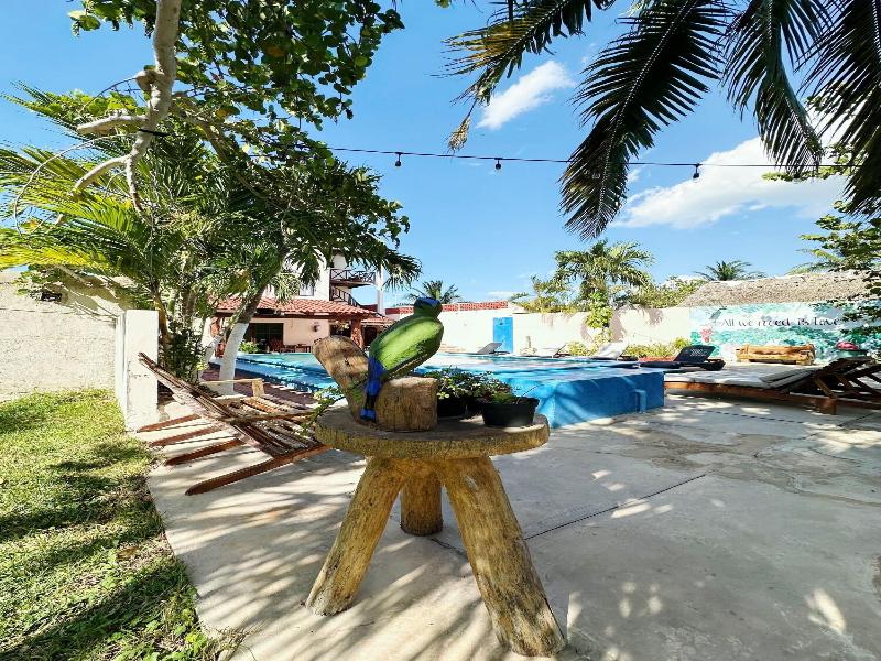 El Perico Marinero image