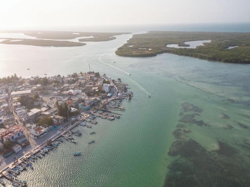 El Perico Marinero image