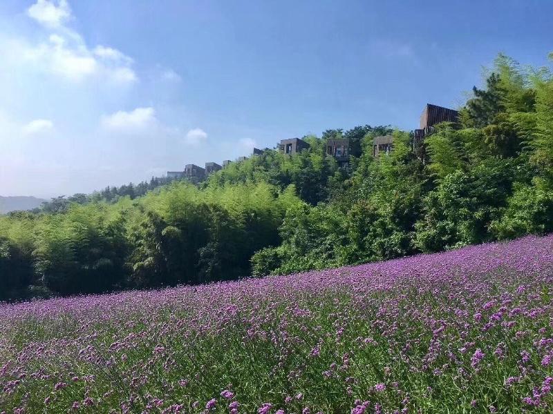 Meijie Mountain Hotspring Resort image