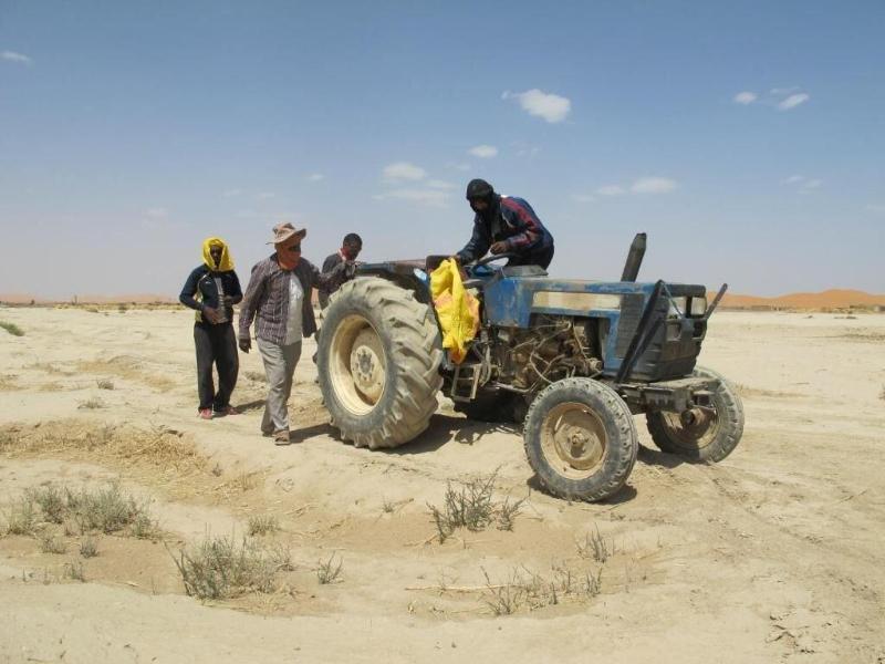 Khamlia Desert Bed & Breakfast image