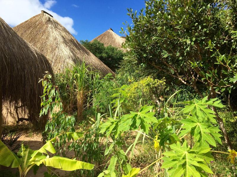 Asdunas Lodge image