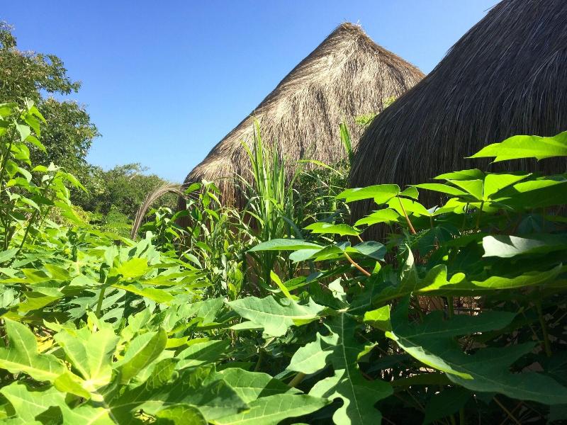 Asdunas Lodge image