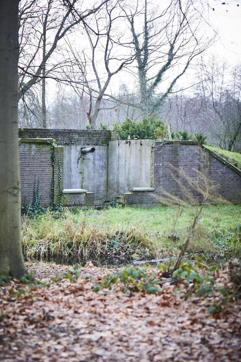 Parc Broekhuizen image