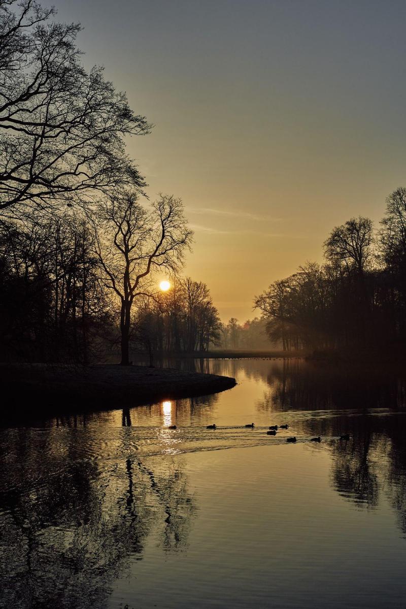 Parc Broekhuizen image