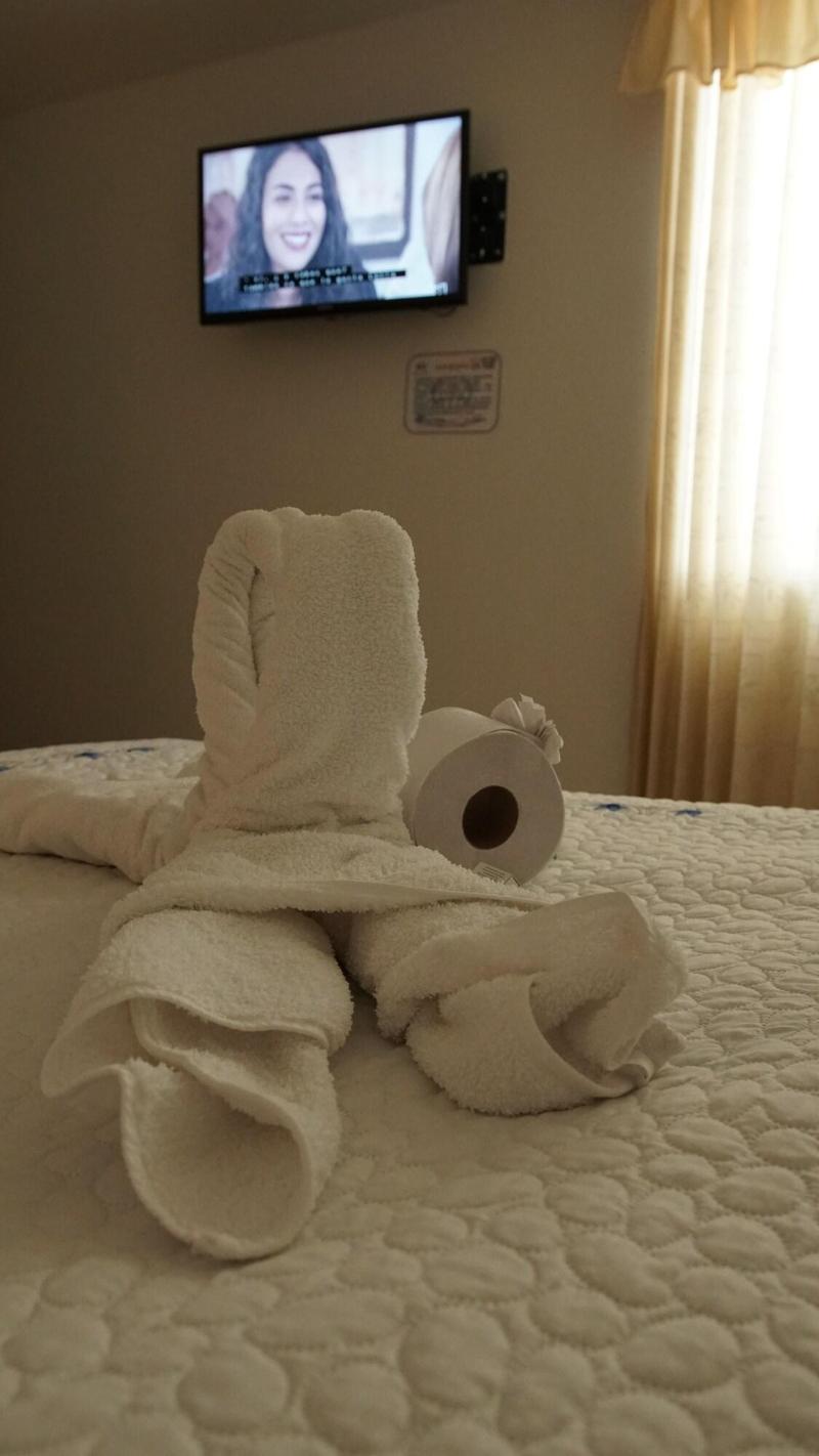 Hotel Sipa image
