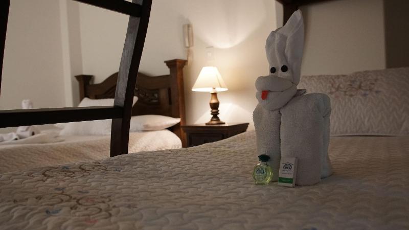 Hotel Sipa image