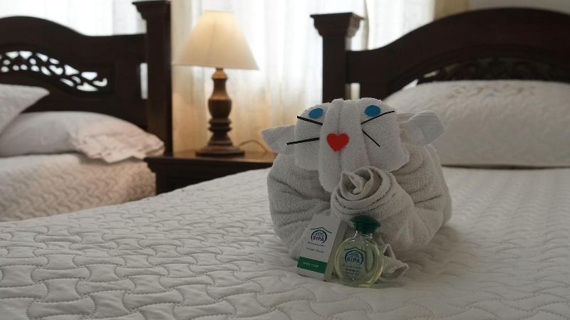Hotel Sipa image