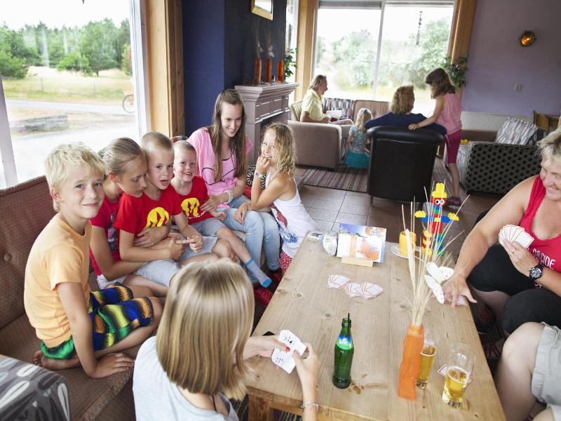 Sier Aan Zee image