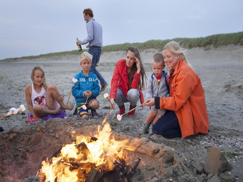 Sier Aan Zee image