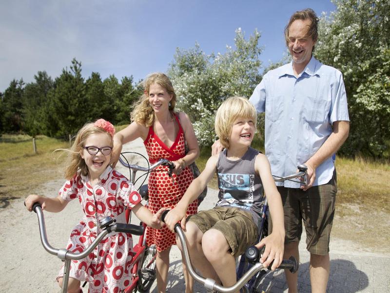 Sier Aan Zee image
