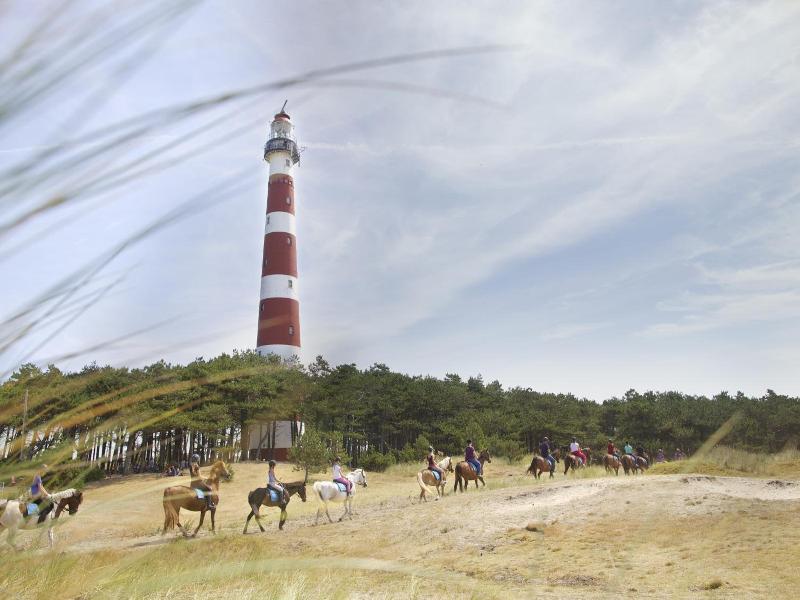 Sier Aan Zee image