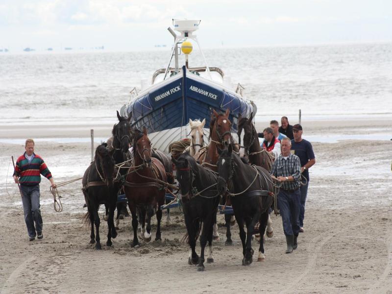 Sier Aan Zee image