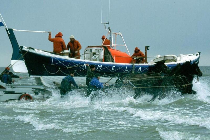 Sier Aan Zee image