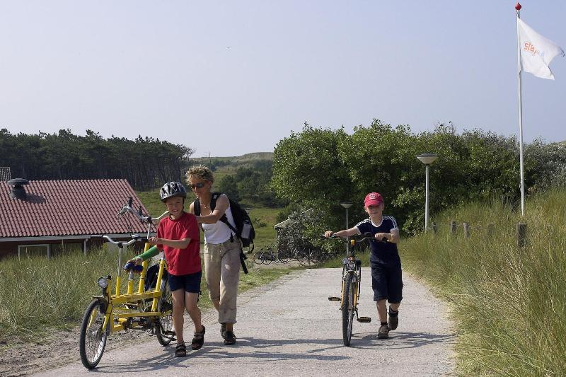 Sier Aan Zee image