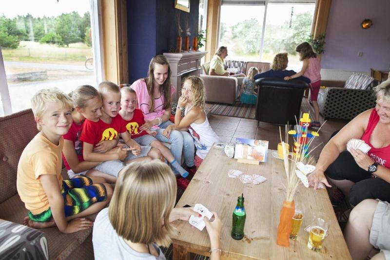 Sier Aan Zee image