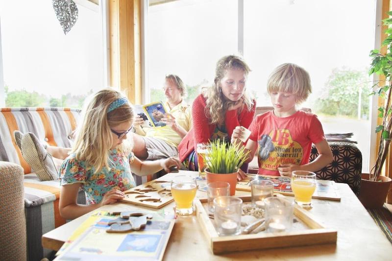 Sier Aan Zee image