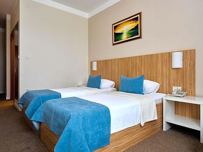 Hotel Phoenix image