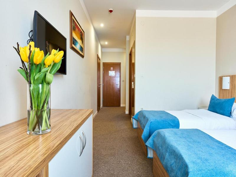 Hotel Phoenix image