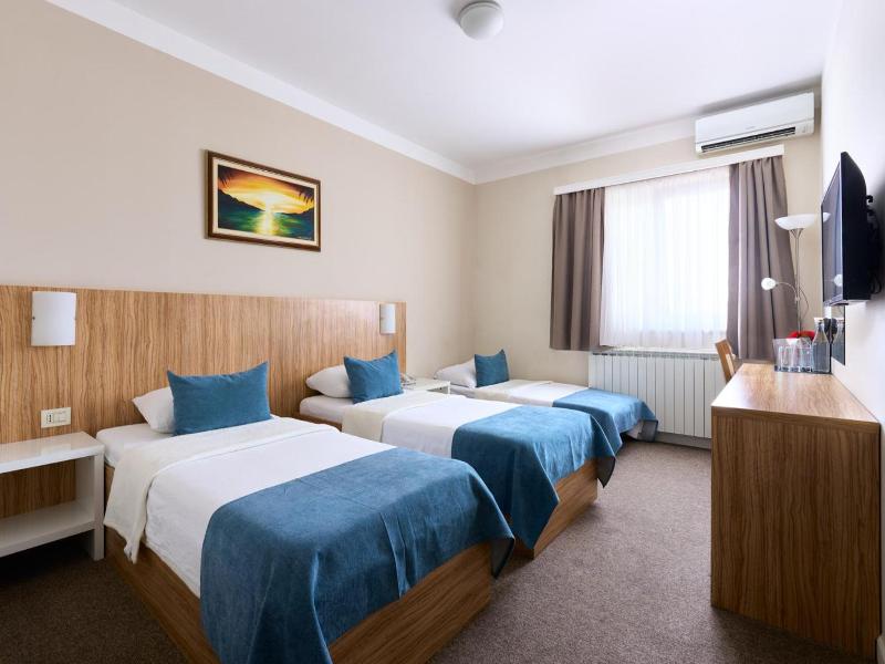 Hotel Phoenix image