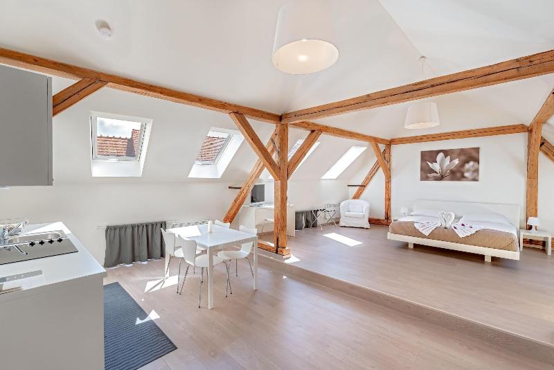 Hotel Residence Tgm image