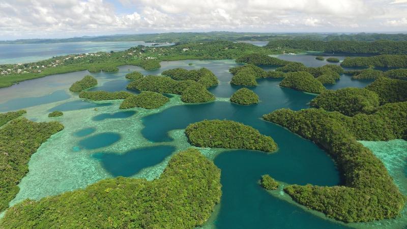 Palau Plantation Resort image