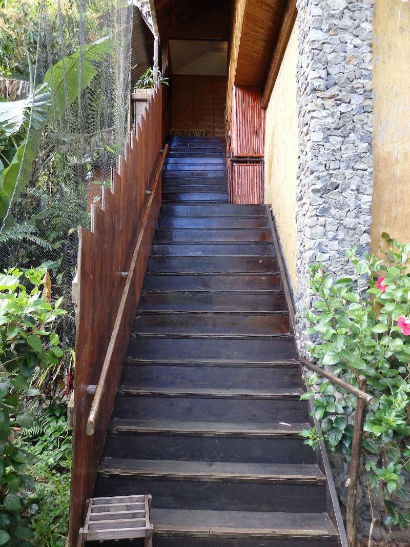 Palau Plantation Resort image