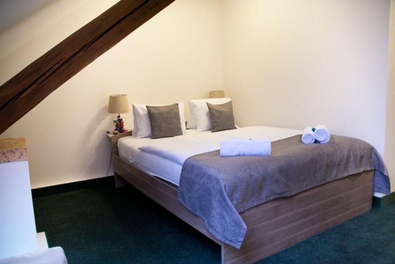 Hotel Muzeum Lega image