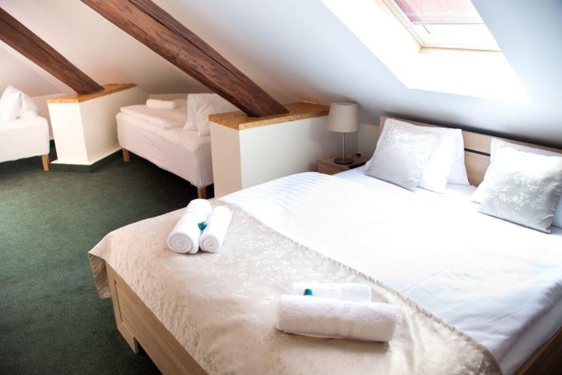 Hotel Muzeum Lega image