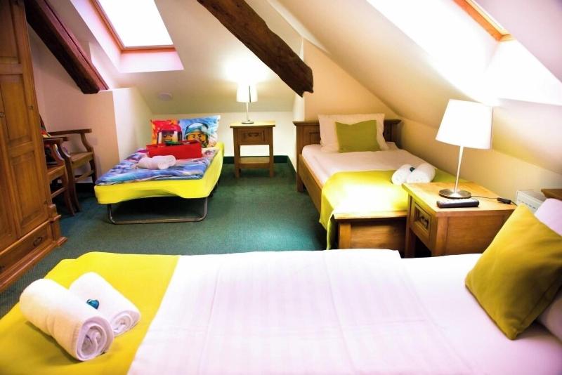 Hotel Muzeum Lega image