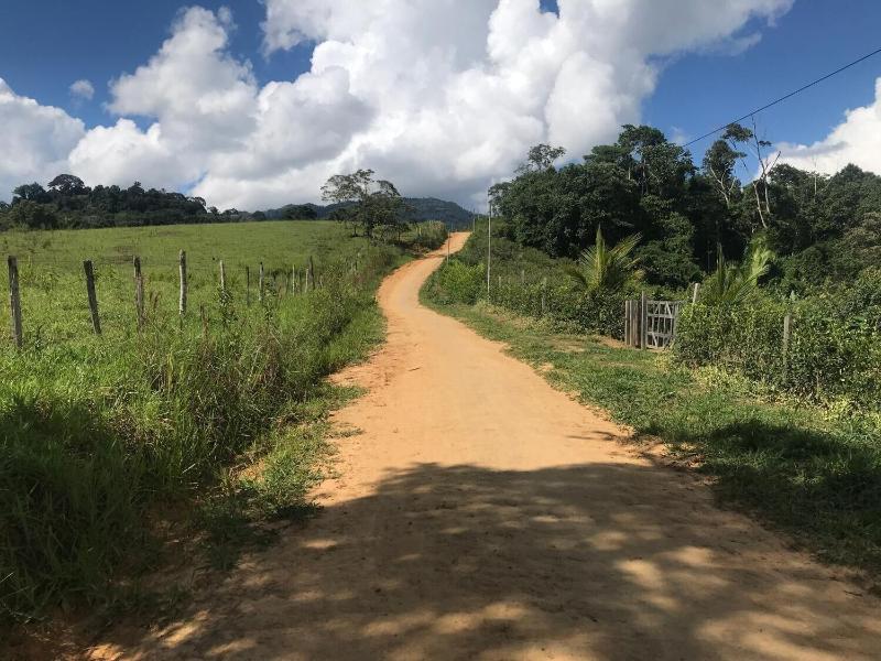 Ayahuaska — photo 4