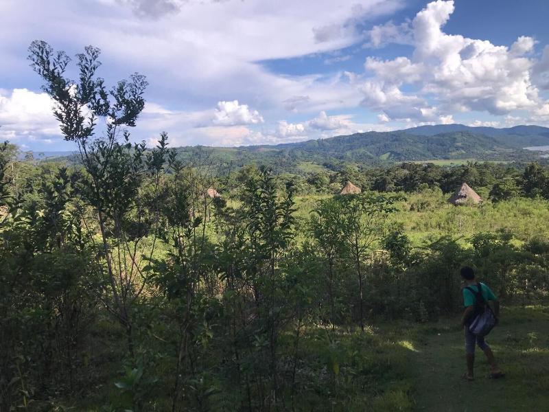 Ayahuaska — photo 5