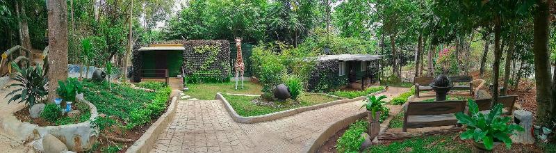 Zoobic Glampz- Subic — photo 2